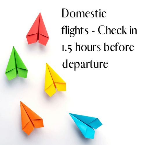 domestic flights